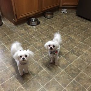 Meet your Posher, Jackie